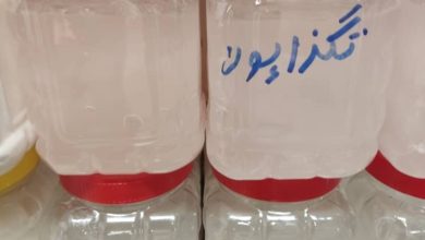 تگزاپون #ایرانی چیست؟ (لیست قیمت خرید + سفارش آنلاین)